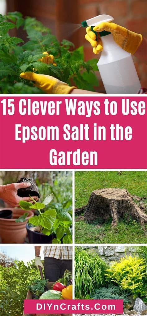 15 Clever Ways to Use Epsom Salt in the Garden - DIY & Crafts