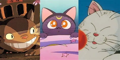 Cat Anime Characters