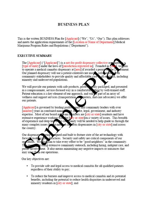 Free Printable Business Plan Sample Form (GENERIC)