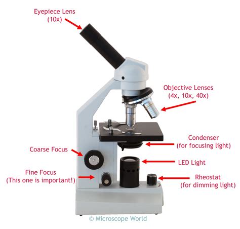 Microscope World Blog: September 2015