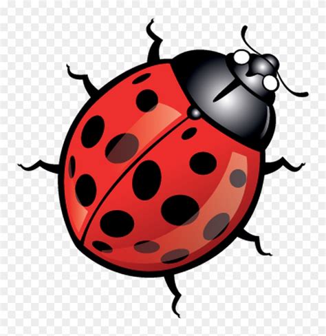 Beetle Ladybird Clip Art - Lady Bird Cartoon - Free Transparent PNG ...