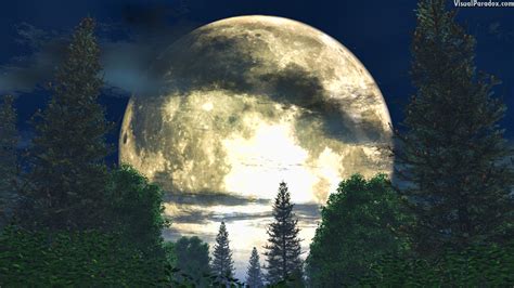 Visual Paradox Free 3D Wallpaper 'Forest Moon' 1920x1080 size wallpaper