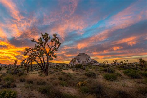 Joshua Sunset - Joshua Tree National Park in Southern California, USA ...