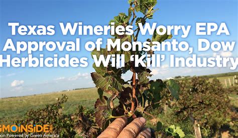 Texas Wineries Worry EPA Approval of Monsanto, Dow Herbicides Will ...