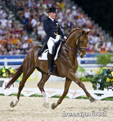 A beautiful Hanoverian breed competing in the world of Olympic level ...