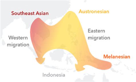 What is Austronesian Ancestry? | Team USA