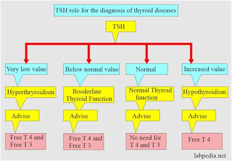 Normal Thyroid Ranges