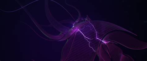 Purple Tubes [3440x1440] : WidescreenWallpaper