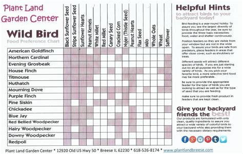 Bird Feeding Chart | How to attract birds, Bird feeders, Wild food