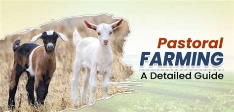 Pastoral Farming: Characteristics, Types And Benefits