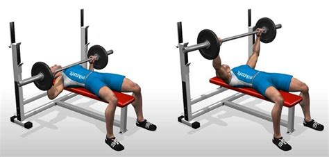 Flat Barbell Bench Press • Bodybuilding Wizard