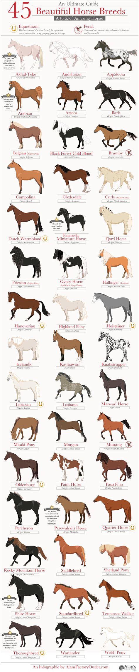 A guide to 45 horse breeds : coolguides