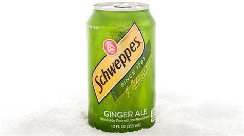 12 Popular Ginger Ale Brands Ranked Worst To Best