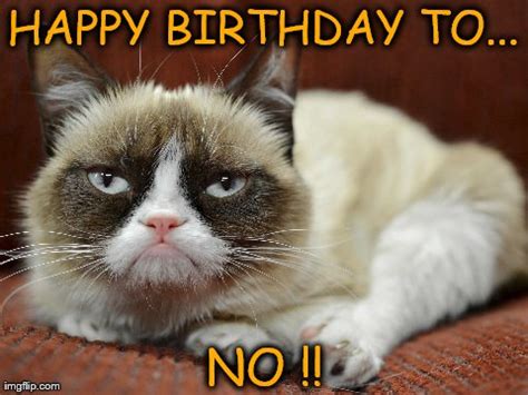 Happy Birthday to Grumpy Cat. - Imgflip