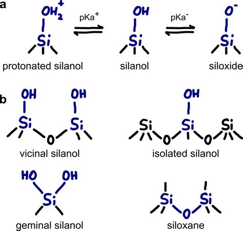 Schematic representation of a acid–base equilibrium of surface silanols ...