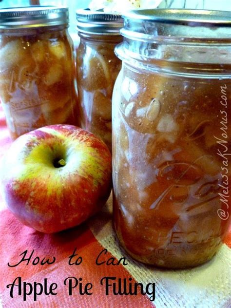 The top 23 Ideas About Canning Apple Pie Filling without Clear Jel ...