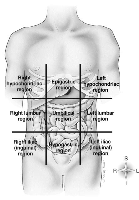 Anatomical Regions Of The Body Diagram ~ Unlabeled Human Body ...