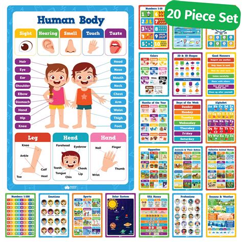 Buy 20 Classroom Educational s For Preschoolers Toddlers Kindergarten ...