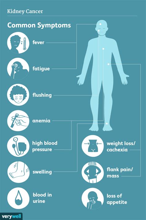 Kidney Cancer: Types, Symptoms, and Causes