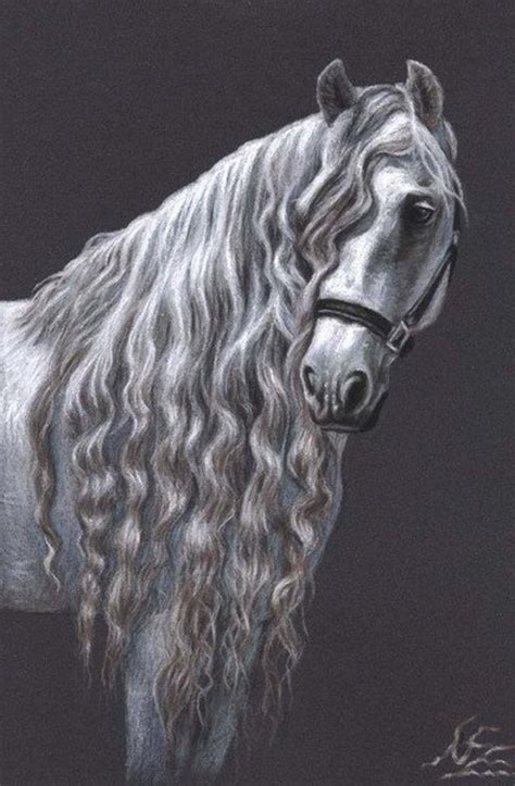 Andalusian Horse Fine Art Print - Etsy