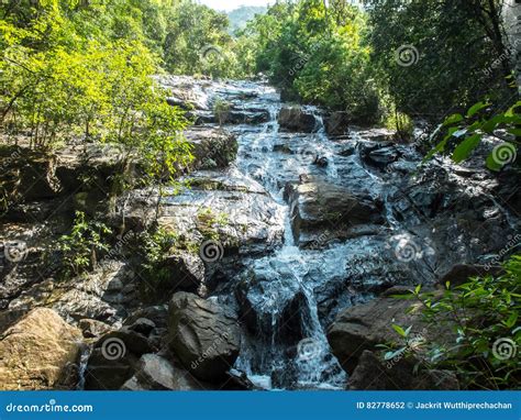 Ngao Waterfall, Beautiful Scenic Waterfall Surrounded by Various of ...