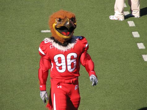 Swoop, the mascot for the University of Utah Utes | The red-… | Flickr