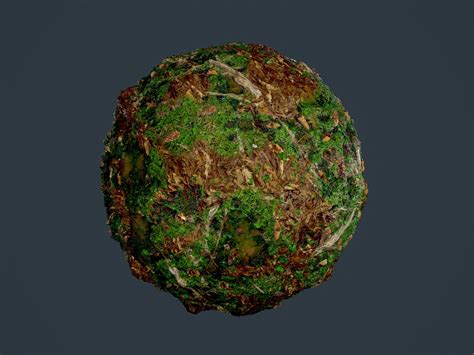 3D model Forest Ground Seamless PBR Texture 18 | CGTrader