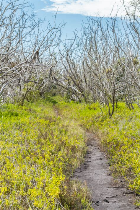 Hiking Florida – Flamingo, Everglades National Park | Nick Botner