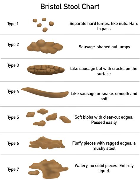 What does your Poo look like? Bristol Stool Chart — Lystra Physical ...