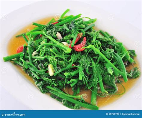 Vegetarian Thai food. stock photo. Image of asian, green - 25756728