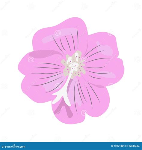 Isolated `Great Willowherb` Flower Vector Stock Vector - Illustration ...