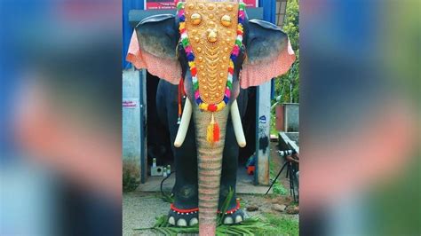 Thrissur temple introduces mechanical elephant for performing rituals ...