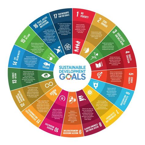 Sustainable Development Goals Poster