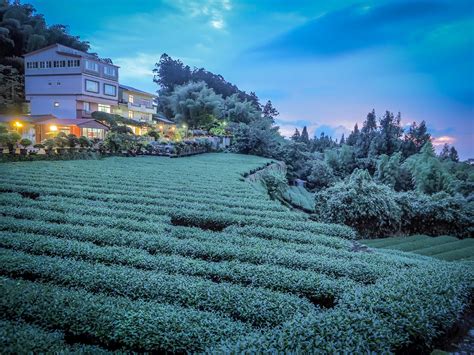 Alishan, Taiwan: Best Sunrise Spots, Hiking Trails and Tea Farms ...