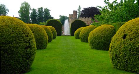 Giant Hedge Balls at Penshurst Place?! | Or just boxing clev… | Flickr