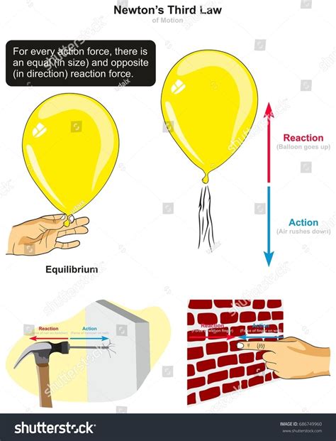 Newton¡¯s Third Law of Motion infographic diagram with examples of ...