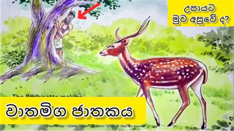 වාතමිග ජාතකය | wathamiga jathakaya | ජාතක කතා | jathaka katha sinhala ...