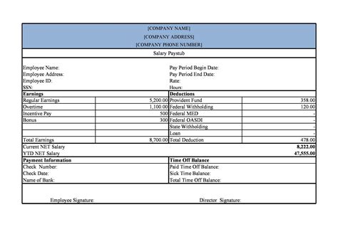 Pay Stub Examples For Students