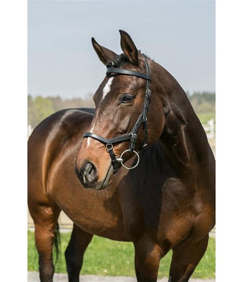 RAMBO Micklem Competition Bridle - Drop Nosebands & Spanish Bridles ...