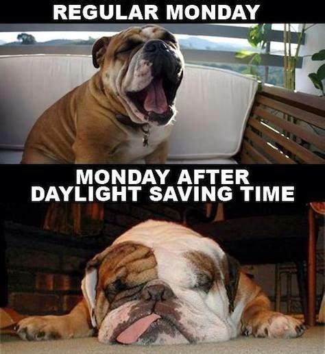 15 Daylight Saving Time Memes That Capture How Most Of Us Feel About ...