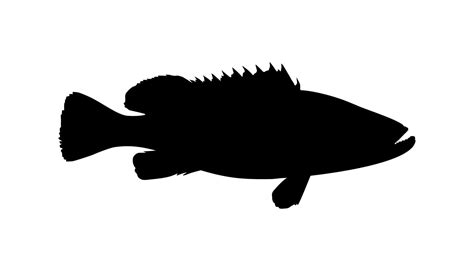 Groupers Fish Silhouette for Icon, Symbol, Pictogram, Logo or Graphic ...