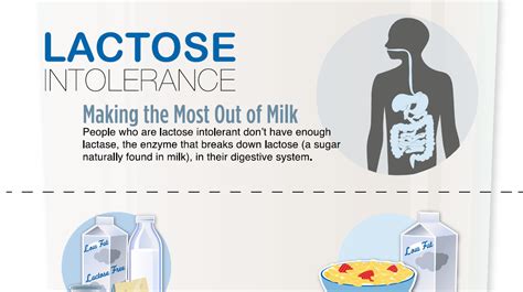 Why Most People Are Lactose Intolerant - Health by Nature