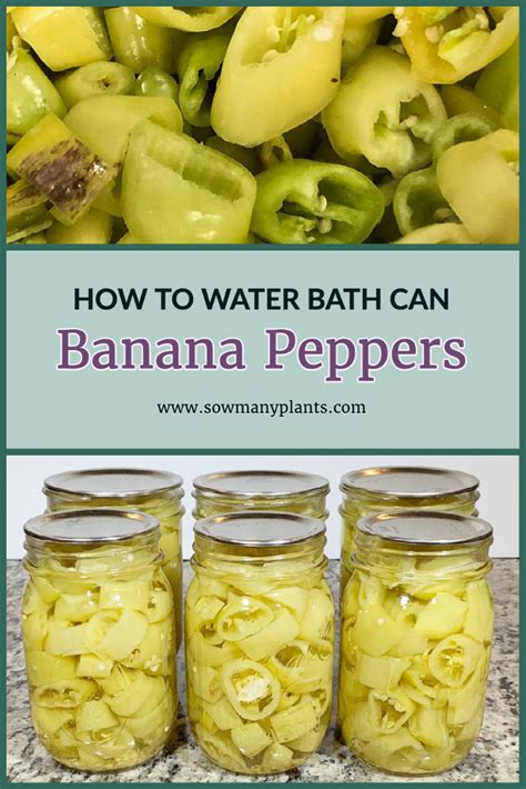 Water Bath Canning Banana Peppers - Sow Many Plants | Recipe | Stuffed ...