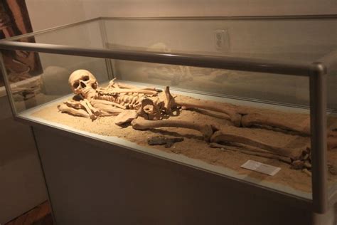 Archaeology & Art - pictures from an Early Bronze Age cemetery (Corded ...