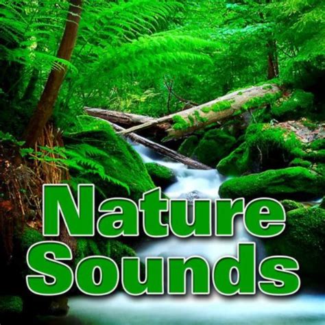 Nature Sounds by Dr. Sound Effects on Amazon Music - Amazon.co.uk