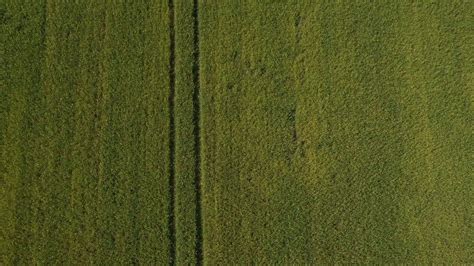 an aerial view of a field with green grass 27384242 Stock Video at Vecteezy