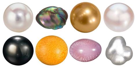 Infographic : The Ultimate Guide to Pearl Types - Infographic.tv ...