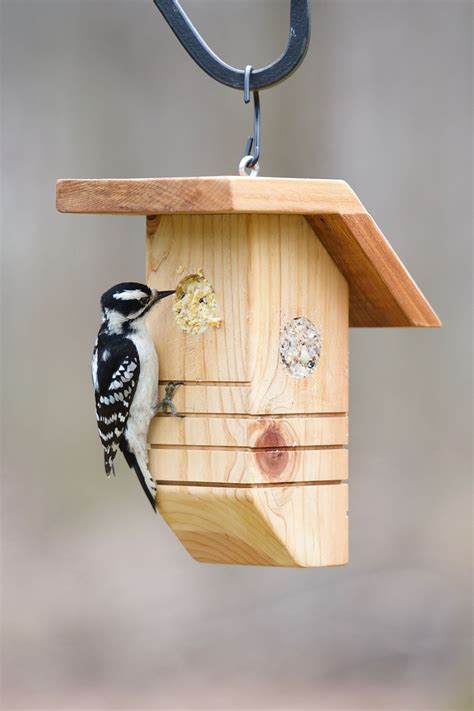 Woodpecker Feeder Plans - Rumah Melo