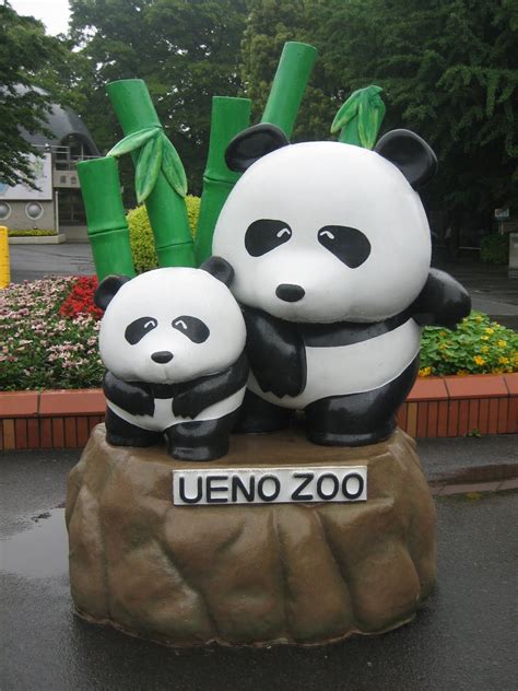 giant pandas at Ueno Zoo - The Ueno Zoo is a 14.3-hectare zoo, managed ...