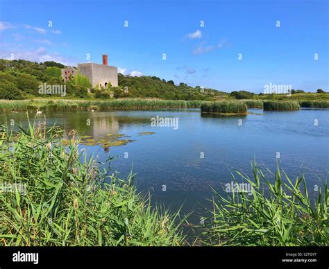 Aberthaw Power station Biodiversity area, Rhoose, South Wales, July ...